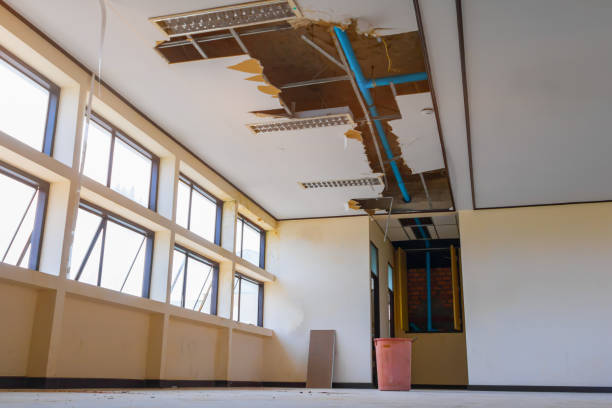 Best Carpet water damage restoration  in Fort Dodge, IA