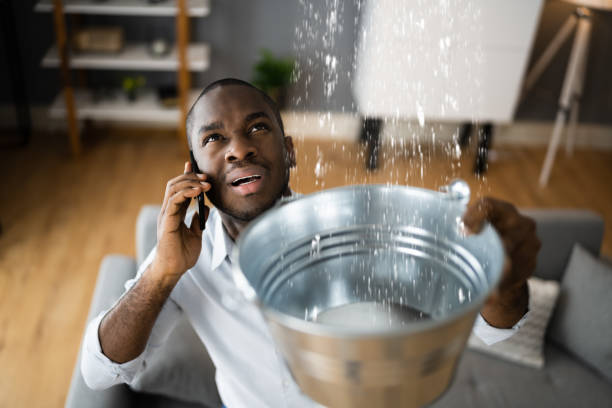 Best Flood damage cleanup  in Fort Dodge, IA