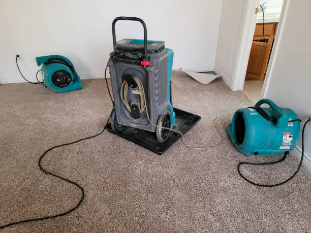 Best Mold removal after water damage  in Fort Dodge, IA