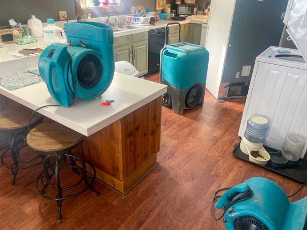 Best Water damage cleanup near me  in Fort Dodge, IA