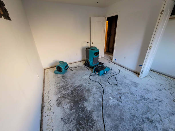 Best Mold removal after water damage  in Fort Dodge, IA