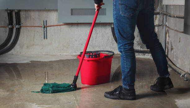 Water damage restoration process in IA