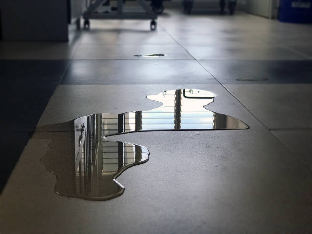 Best Water damage restoration specialists  in Fort Dodge, IA