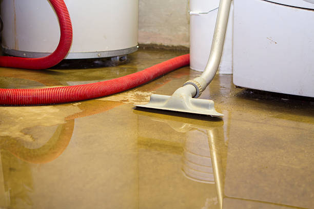 Best Residential water damage restoration  in Fort Dodge, IA