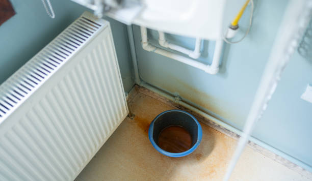 Best Ceiling water damage repair  in Fort Dodge, IA