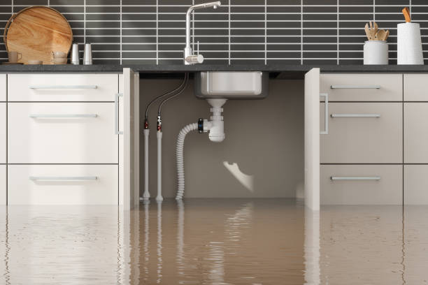 Best Commercial water damage restoration  in Fort Dodge, IA